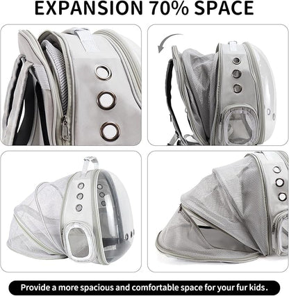 Cat Backpack Carrier, Back Expandable Pet Backpack with Bubble Window, Airline Approved Pet Travel Bag for Small/Medium Cats & Puppies, Hiking, Camping, Outdoor Use (Grey)