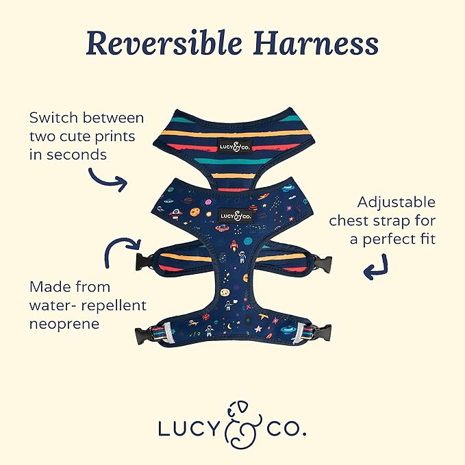 Lucy & Co. Space Doodle, Cute Reversible Dog Harness Walking Halter - Best Designer Pet Harnesses for Medium Dogs - Padded Adjustable Vest for Easy Walking (Large)