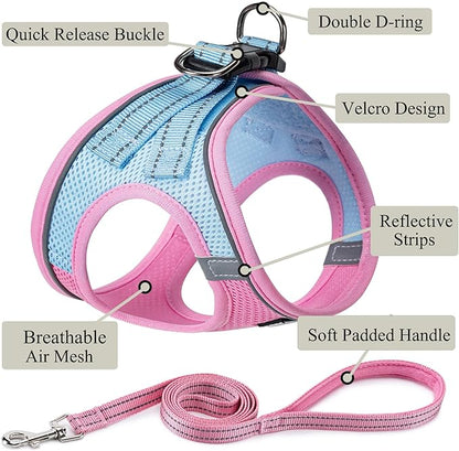 Dog Harness with Leash Set, No Pull Adjustable Reflective Step-in Puppy Pet Vest Harnesses for Small Medium Large Dogs and Cats,Pink Green M