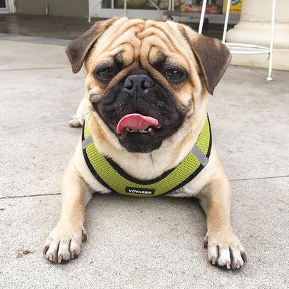 Best Pet Supplies Voyager Step-in Air All Weather Mesh Harness and Reflective Dog 5 ft Leash Combo with Neoprene Handle, for Small, Medium and Large Breed Puppies - Lime/Black Trim, XX-Small