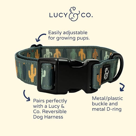Lucy & Co. Looking Sharp Dog Collar - Durable Lightweight Designer Collar for Pets - Adjustable Metal Safety Buckle - Green Gold Cactus - Large