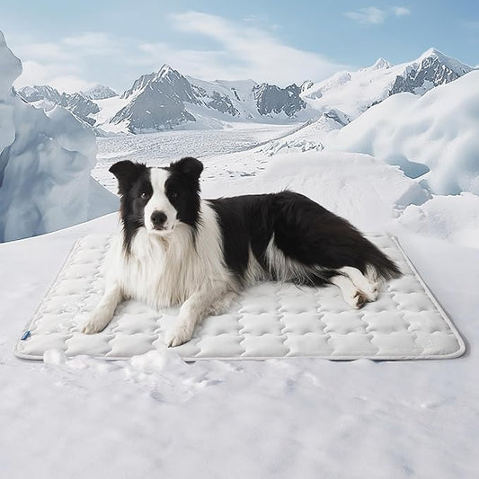 Bedsure Cooling Mat for Large Dogs – 41x28 Thin Washable Cooling Pet Pad for Puppy, QMAX>0.5, XL Portable Kennel Puppy Bed for Summer, Non-Slip Summer Crate Pad for Big Dog Up to 80 lbs