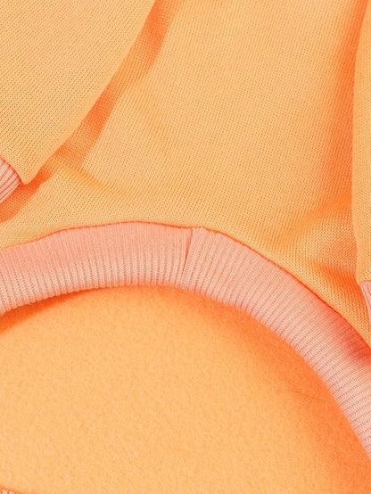 QWINEE Basic Dog Hoodie Sweatshirt Puppy Sweater Warm Cat Costumes Pet Clothes for Chihuahua Puppy Kitten Small Medium Dogs Orange XX-Small