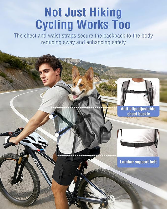 Dog Backpack for Small & Medium Dogs – 4-Layer Safety Pet Carrier with Thick Shoulder Straps, Detachable Waist Bag, Breathable Mesh & Storage Pockets for Travel & Hiking