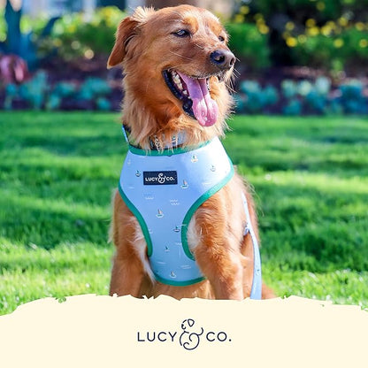 Lucy & Co. Set Sail Reversible Harness, Walking Halter - Best Designer Pet Harnesses for Small Dogs - Padded Adjustable Vest for Easy Walking, X-Small, Blue & White Stripes & Sailboats