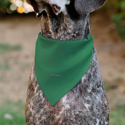Star Wars Pet Bandana Star Wars Grogu Im All Ears Pose Green Slip On Collar Bandana Only