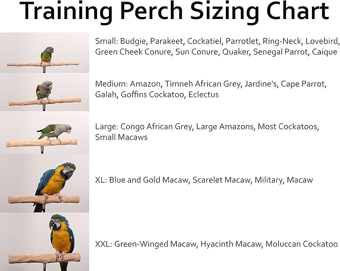 Parrot Training Perch Stand with Potty Tray (T Perch, XXL)