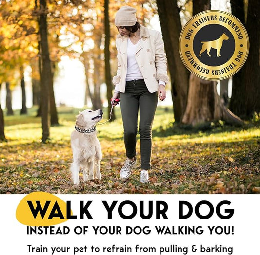 PetJett Prong Collar for Dogs - Adjustable Dog Training Collar Choke Collar for Dogs Pinch Collar for Dog, Quick Release Walking Tool for Small Medium Large Breed - Stainless Steel Metal Choker Chain