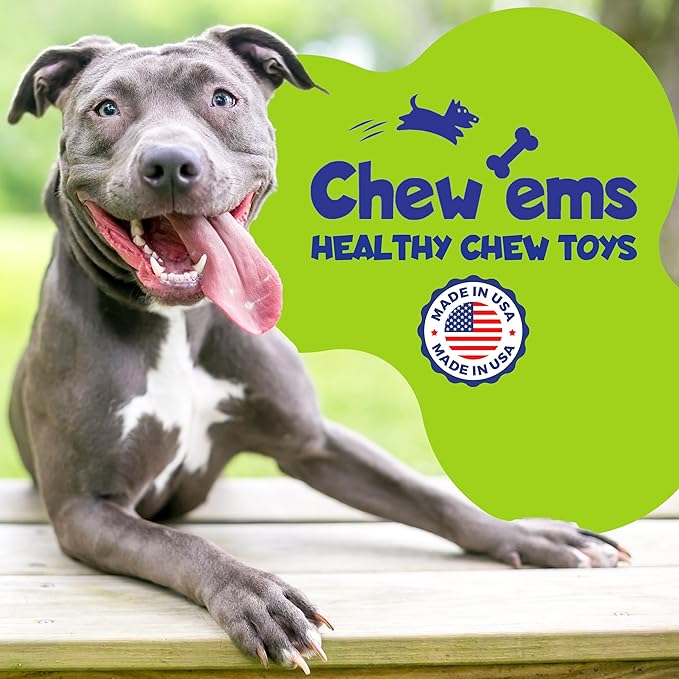 Chew'ems Durable Chew Toys for Small Dogs | Long-Lasting & Flavorful Chew Dog Toys, Small Dog Breeds | Salmon-Flavored