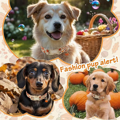 Fall Dog Collar – Halloween & Thanksgiving Dog Collars for Large Dogs – Soft & Comfortable Autumn Puppy Collar with Quick Release Buckle, Large Dog Collars for Girl Boy Dogs-L