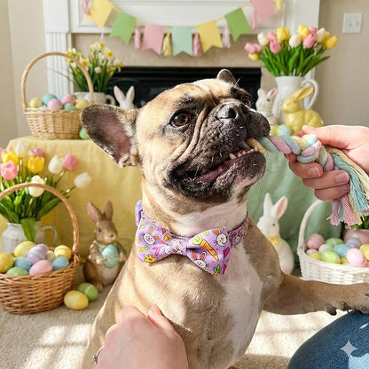 Easter Dog Collar with Bow Tie Set, Adjustable Purple Bunny and Carrot Pattern Pet Collar, Cute Spring Flower Holiday Neckwear for Small, Medium, and Large Dogs