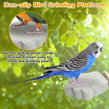 PINVNBY 4 PCS Bird Perches Calcium Parrot Perch Stand Bird Beak Grinding Stone Foot Claws Trimmer Parrot Chewing Toys Bird Cage Accessories for Budgie Cockatiel Conure Lovebird Finch