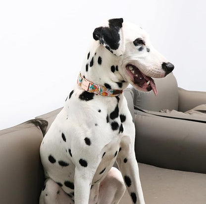 Unique style paws Dog Collar Metal Buckle Gift for Small Medium Large Boys Girls Dogs orange XL