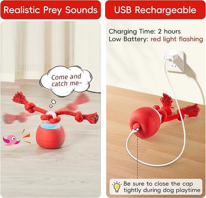 Potaroma Interactive Dog Ball Toys Touch Activated, Rechargeable, Squeaky Dog Toy, Moving Ball for Pup with Rope for Medium Small Dogs Puppy Dark Red