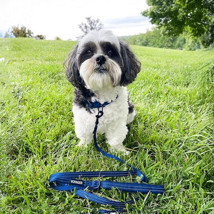 Best Pet Supplies Voyager Reflective Dog Leash or Collar with Neoprene Handle, for Small, Medium, and Large Breed Puppies, Cute and Heavy Duty for Walking, Running and Training - Royal Blue Leash, L