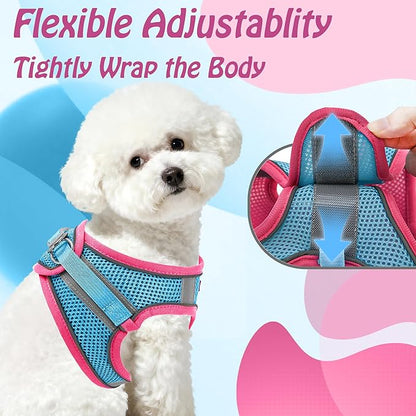 AIITLE Comfortable Dog Harness and Leash Set for Walking - Step in Vest Harness,Reflective Bands, Adjustable No Pull Puppy Essentials, for Small Dogs and House Cats Pink XS