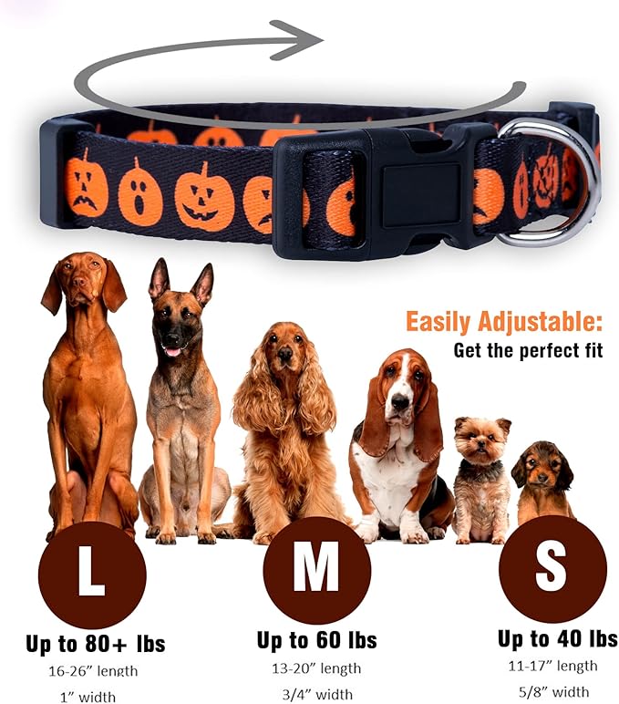 Native Pup Halloween Dog Collar- Spooky Fall Themed Horror Costume Collars- Skull, Pumpkin, Ghost, Bat, Witch, Candy Corn, Spider- Adjustable for Small, Medium, Large Breeds (Large, Big Pumpkins)