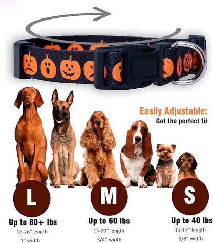 Native Pup Halloween Dog Collar- Spooky Fall Themed Horror Costume Collars- Skull, Pumpkin, Ghost, Bat, Witch, Candy Corn, Spider- Adjustable for Small, Medium, Large Breeds (Large, Big Pumpkins)