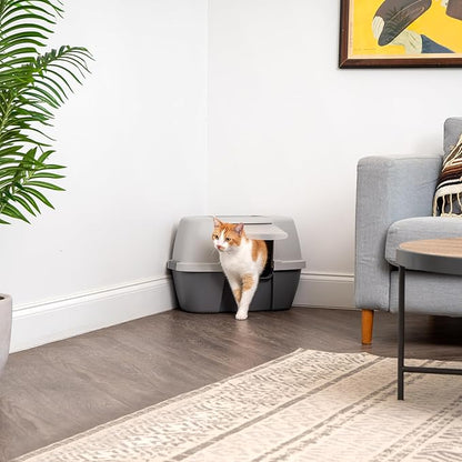 IRIS USA Corner Cat Litter Box Enclosure with Scoop, Small Cat Litter Box with Lid, Corner Litter Box Enclosure for Kittens to Medium Sized Cats, Odor Defensive Hooded Litter Tray, Dark Gray