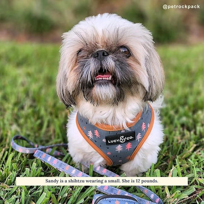 Lucy & Co. Take a Hike Reversible Dog Harness - Best Designer Pet Harnesses for XS - XL Dogs - Padded Adjustable Vest for Easy Walking (X-Small, Neutral Brown Plaid with Blue Trees)