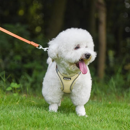 AIITLE Dog Harness, No-Pull Cat Harness with a Leash, Adjustable Reflective Dog Vest, Cat Harness Escape Proof, Outdoor Walking, Running,Training for Extra Small Dogs and House Cats Beige XXXS