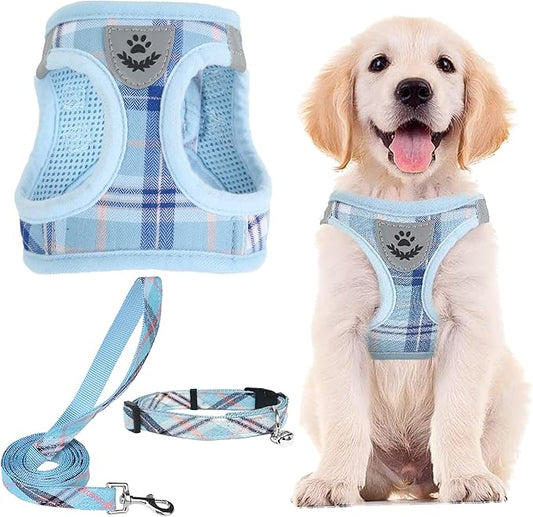PUPTECK Adjustable Dog Harness Collar and Leash Set Step in No Pull Pet Harness for Small Medium Dogs Puppy and Cats Outdoor Walking Running, Soft Mesh Padded Reflective Vest Harnesses, Blue S