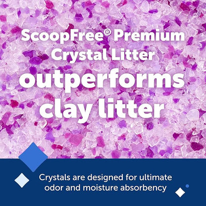 PetSafe ScoopFree Premium Crystal Cat Litter - Outperforms Clay Litter - Refill Packs - Reusable Tray Compatible - Lavender Scent - 4.3 lb Bags - 2 Pack