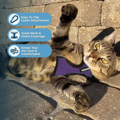 Voyager Escape-Proof Step-in Lock Cat Harness & 5ft Neoprene-Handle Leash Set All-Weather Mesh with Reflective Stitching for Small to Large Cats by Best Pet Supplies, Purple/Black Trim, XXXS