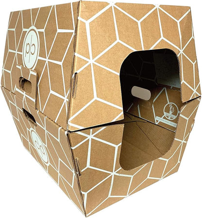 Cats Desire Disposable Litter Box No Plastic Solution (10 Tray) w/ Low Entry & Enclosed Box - Teal on Natural Brown, Made in USA Woman Owned, 19"L x 17"W x 8.5"H tray - 19"L x 17"W x 17"H enclosed box