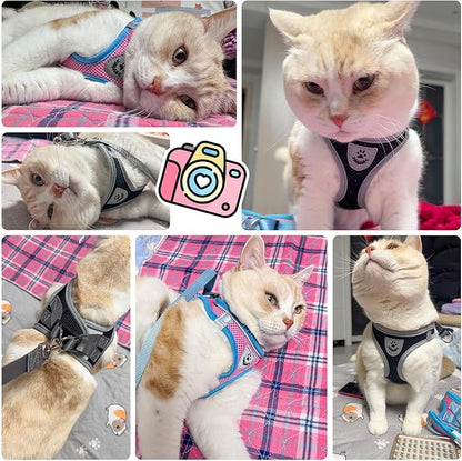SCENEREAL Cat Harness and Leash Set Escape Proof, Adjustable Soft Air Mesh Kitten Harnesses for Girls Boys Small Medium Big Cats, Reflective Light Travel Pet Walking Vest for Puppy Rabbit, Pink M