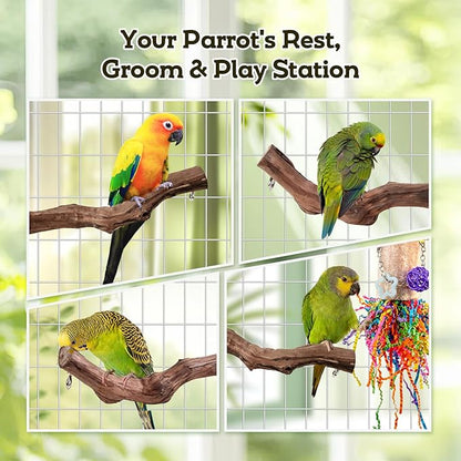 Bird Toys, Parakeet Foraging Toys, Hanging Chewing Toys with Natural Wooden Perches, Bird Cage Accessories, Suitable for Parakeets, Cockatiels, Budgies, Lovebirds & More