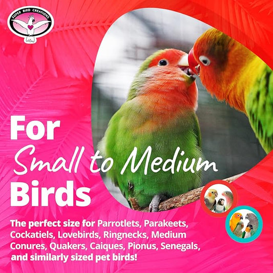 Super Bird Creations Mini Starburst Bird Toy - Colorful Bird Toy for Parrots, Cockatiels, Conures & Parakeets, Cockatiel Toy, Budgie Toys, Bird Toys, Bird Entertainment, Small Bird Size, 5.5" x 2.5"
