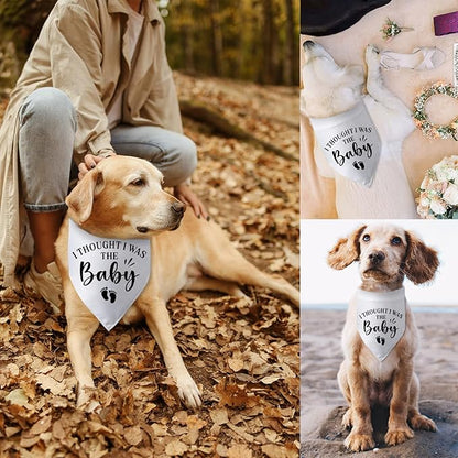 Pregnancy Announcement Dog Bandana I Thought I was The Baby Gender Reveal Dog Baby Coming Soon Announcement Photo Props for Large Medium Small Dogs