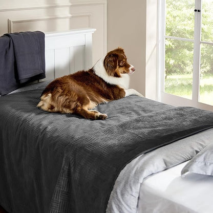 Bedsure Waterproof Couch Cover for Dogs Washable - Waterproof Blanket for Large Dogs Couch Sofa Bed Cozy, Lightweight Furniture Protector for Pet Cat Quick Drying, Charcoal, 52x82IN
