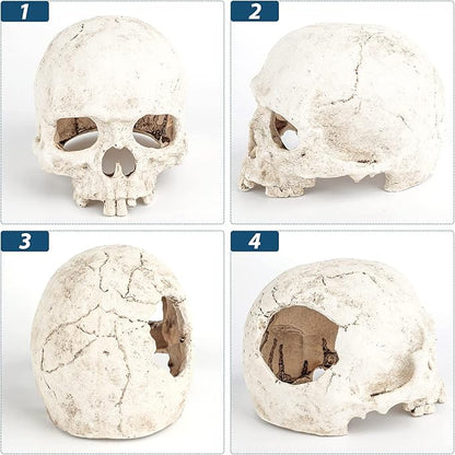 Uniclife Aquarium Skull Reptile House Decor Resin Head Skeleton Ornament for Tank Landscape Decorative Hideout Cave Shelter for Small Fish Shrimp Snail Gecko Spider Lizard in 5-20 Gallon Fish Tank