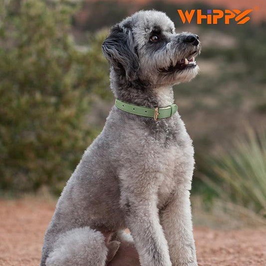 WHIPPY Leather Dog Collar for Small Medium Large Dog Adjustable Soft Breathable Leather Padded Puppy Collar with Alloy Buckle Heavy Duty Waterproof Classic Dog Pet Collar,Green