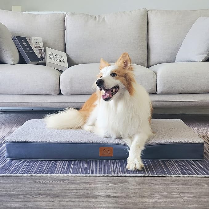 Sunheir Orthopedic Dog Beds for Small Dogs, Waterproof Puppy Bed with Removable Washable Cover, Non-Slip Bottom and Egg-Crate Foam, (Grey, 24.0" L x 16.0" W x 3.0" Th)
