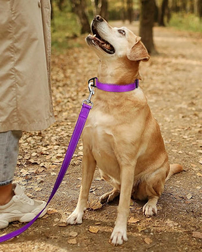 TagME Reflective Nylon Dog Collars, Adjustable Classic Pet Collar with Quick Release Buckle for Large Dogs, Purple, 1.0" Width