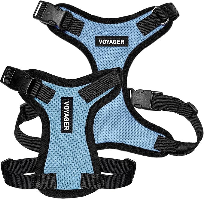 Voyager Step-in Pet Harness - All Weather Mesh, Adjustable Step in Harness for Cats and Dogs by Best Pet Supplies - Baby Blue/Black Trim, L