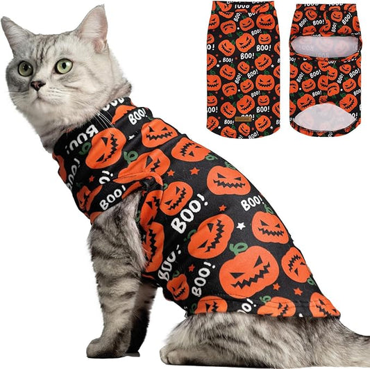 EXPAWLORER Cat Halloween Sweater - Sweaters for Cats Only Soft Warm Pet Clothes, Fall and Winter Pumpkin Coat Pullover Design, Fleece Sweatshirt Clothing Also for Puppy Small Dogs, Medium
