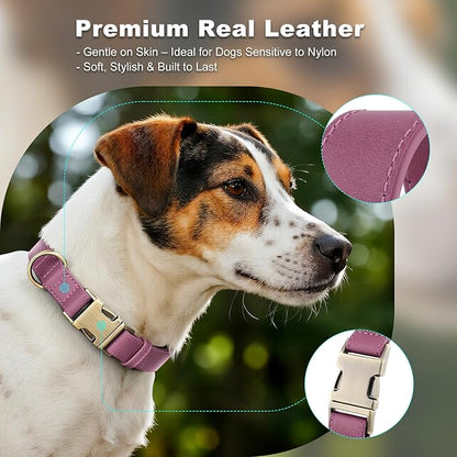 Plutus Pet Genuine Leather Dog Collar – Adjustable Pet Collar with Quick Release Metal Buckle, Soft Real Leather for Small Medium Large Dogs, Heavy Duty & Skin-Friendly (Purple, S)