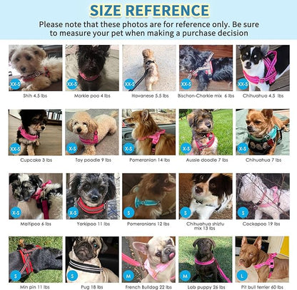 SlowTon No Pull Small Dog Harness and Leash Set, Puppy Soft Vest Harness Neck & Chest Adjustable, Reflective Lightweight Harness & Anti-Twist Pet Lead Combo for Small Medium Dogs (G-Front Clip,XXS)
