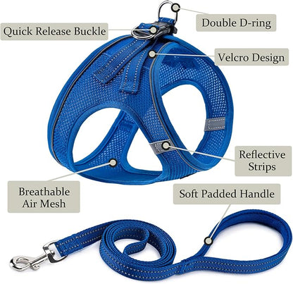 BOOMIBOO Dog Harness with Leash Set, No Pull Adjustable Reflective Step-in Puppy Pet Vest Harnesses for Small Medium Large Dogs and Cats,Blue S