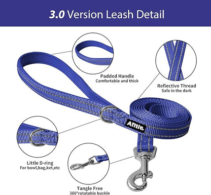 AIITLE Step in Dog Harness and Leash Set - No Pull Escape Proof Vest Harnesses with Soft Mesh and Reflective Bands, Adjustable Pet Outdoor Harnesses for Small and Medium Dogs Royal Blue M