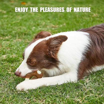 Durable Nylon Dog Bones, 2 Pack Dog Toys for Aggressive Chewers, Beef-Flavored U-Shaped Bone Chew Toys for Largel/Medium/Small Dogs, Teething and Boredom Relief
