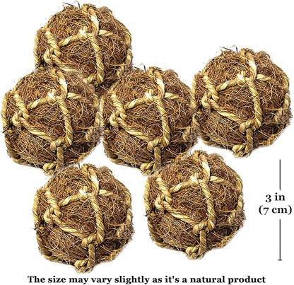 SunGrow Assorted Rabbit & Cat Chew Balls, Teething Activity Toy for Pocket Pets, Improves Dental Health, Environment Friendly, Stress Reliever (Coco Fiber, 6 Pcs)