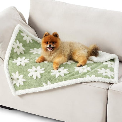 LE SURE Waterproof Puppy Blanket for Small Dogs - Washable Double Sided Dog Blankets with Warm Jacquard Shag and Soft Sherpa Fleece, Pet Cat Blanket for Couch Protection, 3D Textured Cloud, Green