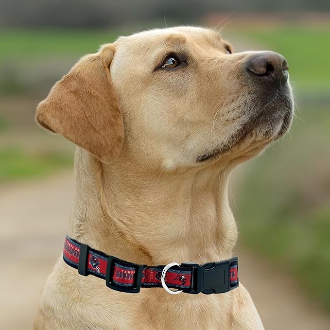 Pets First NFL Tampa Bay Buccaneers Licensed PET COLLAR, Small - Heavy-Duty, Strong, and Durable Dog Collar. Available in 31 Football Teams and 4 Sizes
