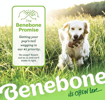 Benebone Fishbone Durable Dog Chew Toy for Aggressive Chewers, Real Fish, Made in USA, Giant