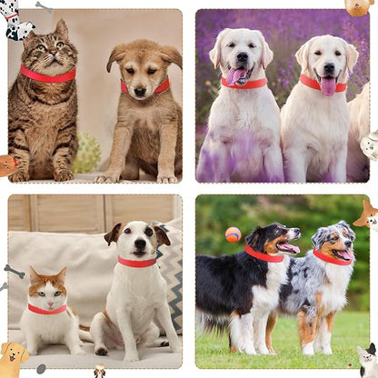 500 Count 20inch Adjustable Paper Dog Collars with Tear Resistant Waterproof Whelping Collars Paper Puppy ID Bands Adhesive Pet Identification Tags for Newborn Dog Cat Hospitals(Red)